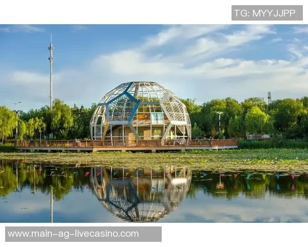 足球公园：探索足球文化的乐园与社区互动的新平台