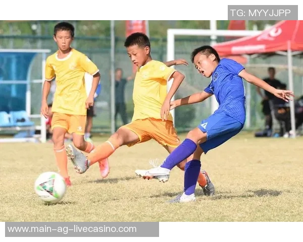 中国足球队员的崛起与挑战：从青训到职业联赛的全景分析